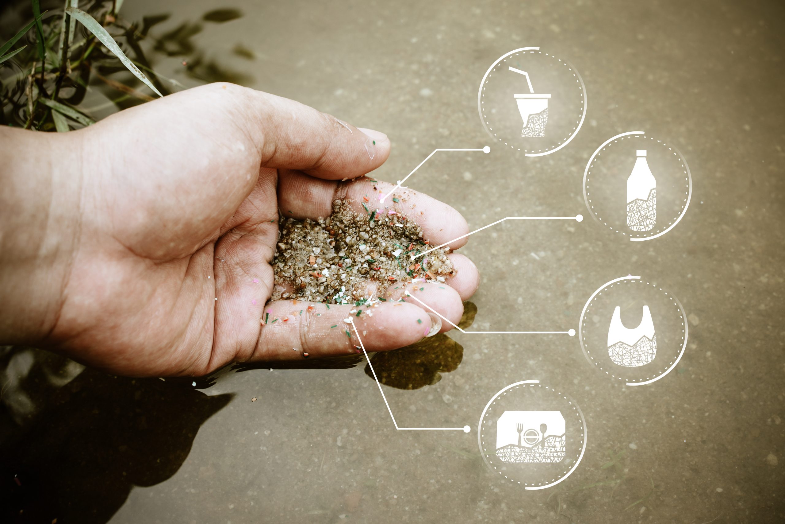 What’s on the regulatory horizon for 2025 and beyond?